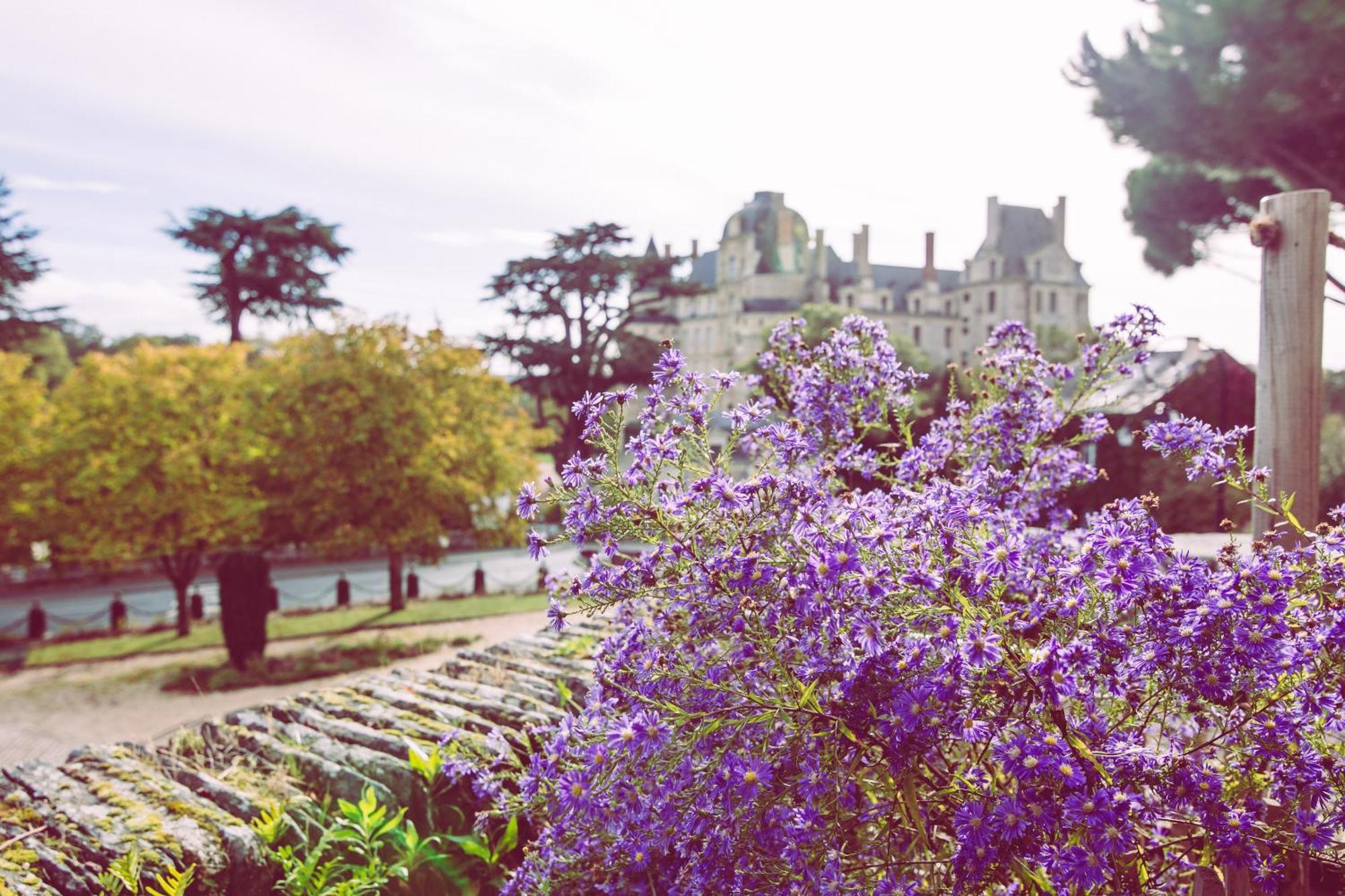 Le Regisseur Brissac-Quince Exterior foto