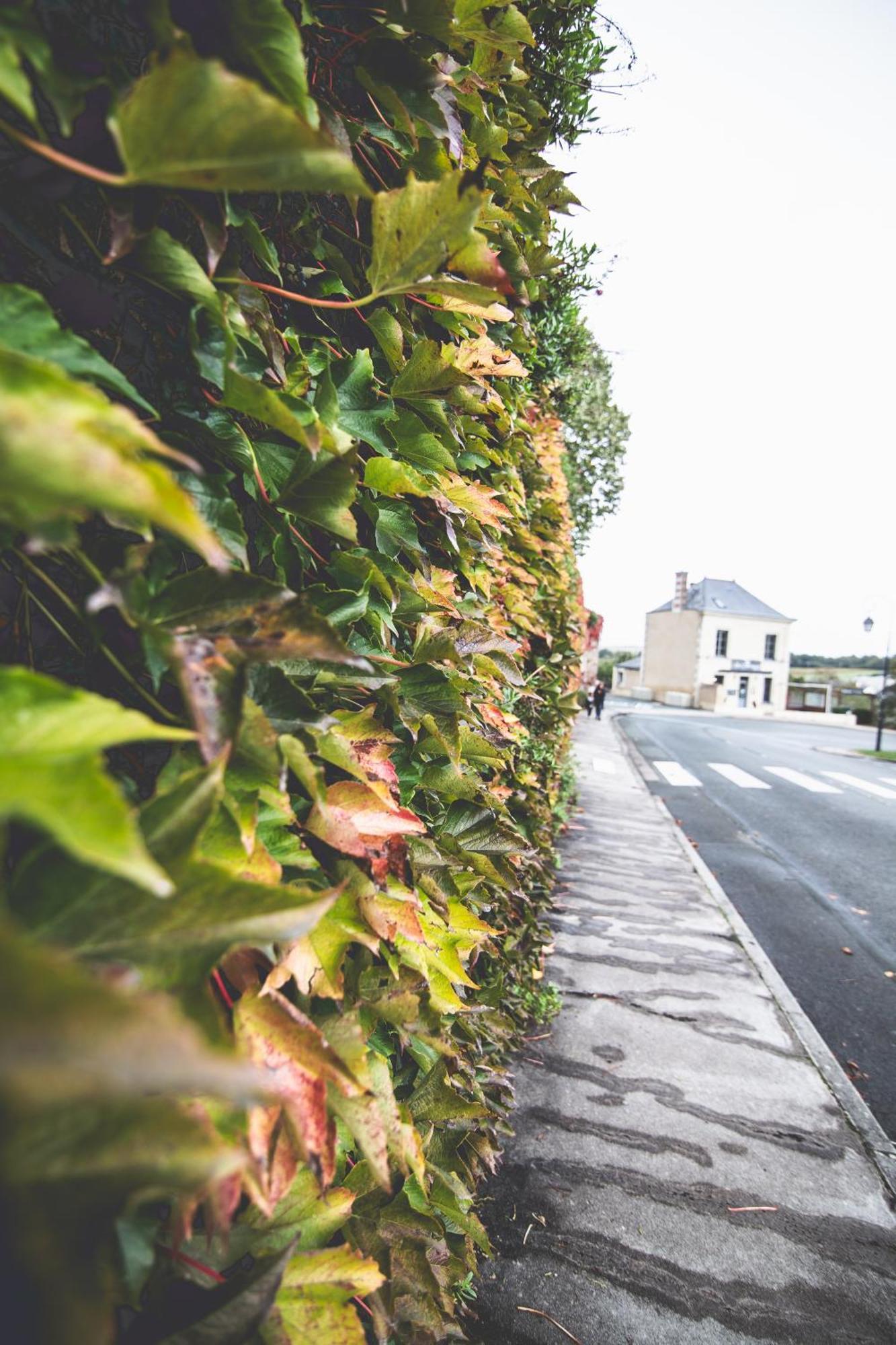 Le Regisseur Brissac-Quince Exterior foto