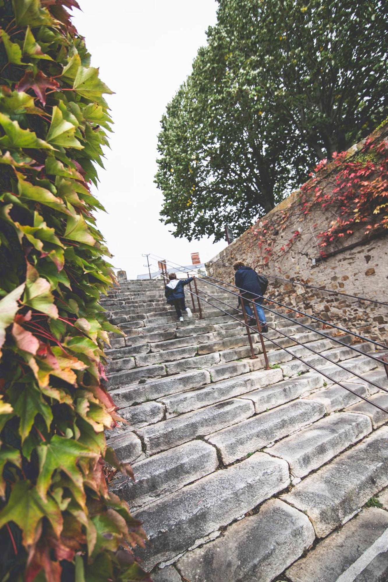 Le Regisseur Brissac-Quince Exterior foto